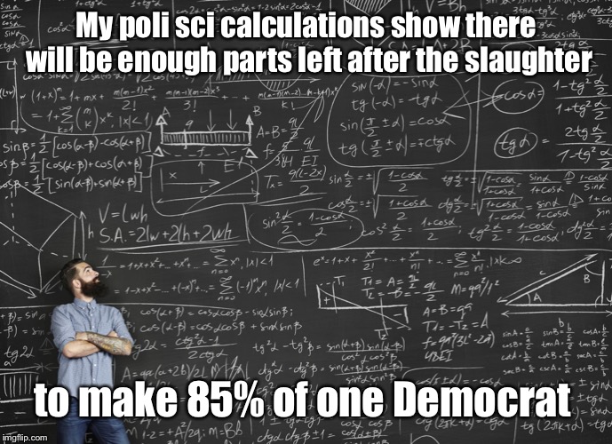 Calculations | My poli sci calculations show there will be enough parts left after the slaughter to make 85% of one Democrat | image tagged in calculations | made w/ Imgflip meme maker