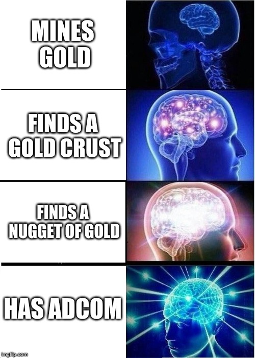 Expanding Brain | MINES GOLD; FINDS A GOLD CRUST; FINDS A NUGGET OF GOLD; HAS ADCOM | image tagged in memes,expanding brain | made w/ Imgflip meme maker