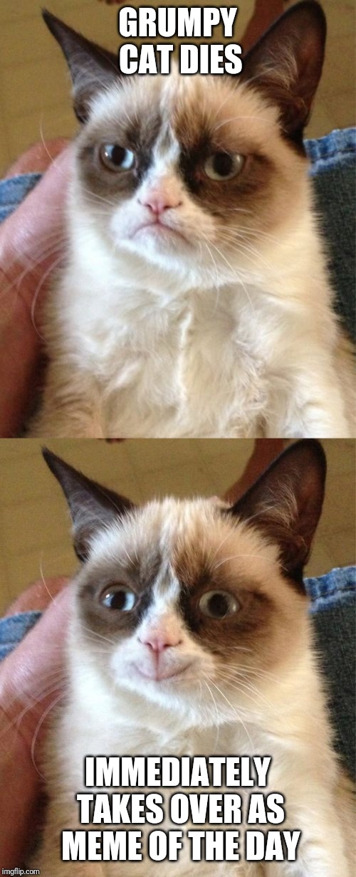 Grumpy Cat Gets The Last Laugh |  GRUMPY CAT DIES; IMMEDIATELY TAKES OVER AS MEME OF THE DAY | image tagged in memes,grumpy cat,happy cat,animals,cats,funny memes | made w/ Imgflip meme maker