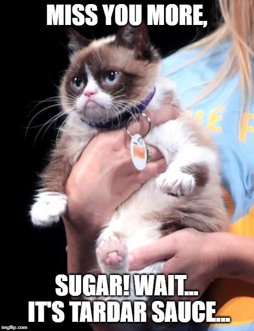 MISS YOU MORE, SUGAR! WAIT... IT'S TARDAR SAUCE... | made w/ Imgflip meme maker