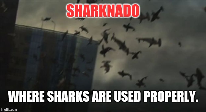 sharknado | SHARKNADO; WHERE SHARKS ARE USED PROPERLY. | image tagged in sharknado | made w/ Imgflip meme maker