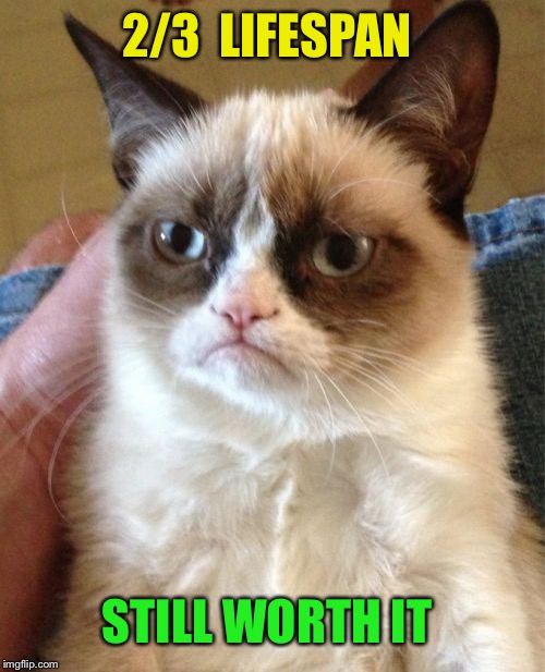 Grumpy Cat Meme | 2/3  LIFESPAN STILL WORTH IT | image tagged in memes,grumpy cat | made w/ Imgflip meme maker