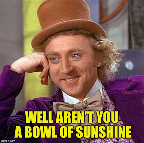 Creepy Condescending Wonka Meme | WELL AREN’T YOU A BOWL OF SUNSHINE | image tagged in memes,creepy condescending wonka | made w/ Imgflip meme maker