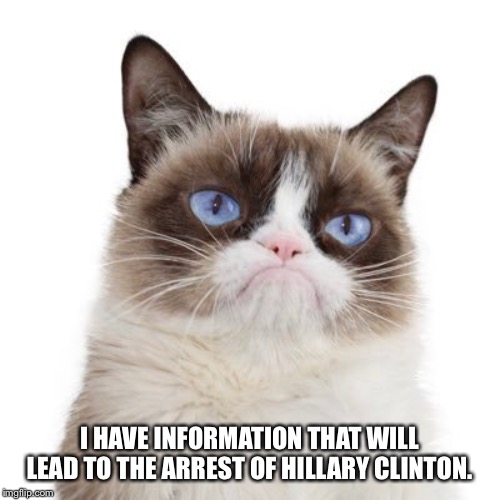 Grumpy cat hit job | I HAVE INFORMATION THAT WILL LEAD TO THE ARREST OF HILLARY CLINTON. | image tagged in grumpy cat,hillary clinton | made w/ Imgflip meme maker