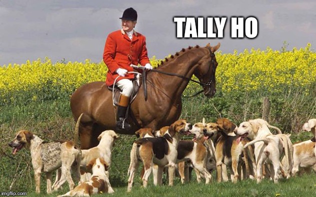 Fox Hunting | TALLY HO | image tagged in fox hunting | made w/ Imgflip meme maker