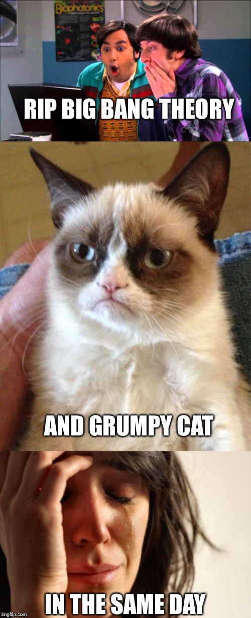 5/17/19 was the SADDEST DAY EVER! | RIP BIG BANG THEORY; AND GRUMPY CAT; IN THE SAME DAY | image tagged in memes,first world problems,grumpy cat,the big bang theory,rip,bad day | made w/ Imgflip meme maker