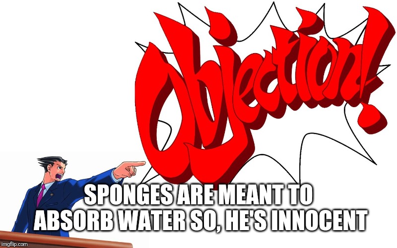 OBJECTION! | SPONGES ARE MEANT TO ABSORB WATER SO, HE'S INNOCENT | image tagged in objection | made w/ Imgflip meme maker