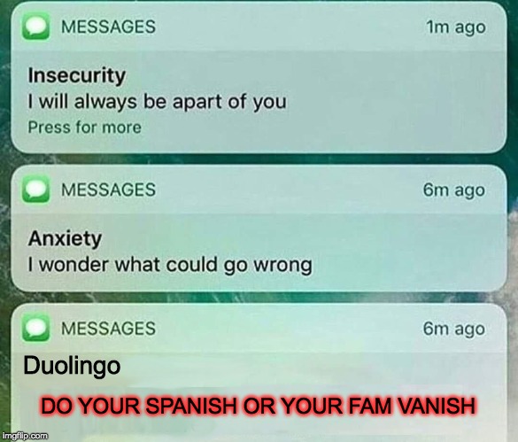 insecurity anxiety meme | Duolingo; DO YOUR SPANISH OR YOUR FAM VANISH | image tagged in insecurity anxiety meme | made w/ Imgflip meme maker