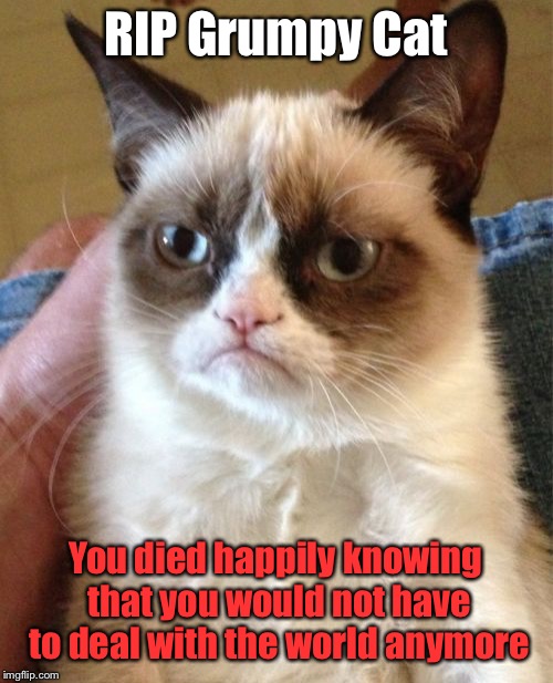 RIP Grumpy Cat | RIP Grumpy Cat; You died happily knowing that you would not have to deal with the world anymore | image tagged in memes,grumpy cat,rip,goodbye,rest in peace | made w/ Imgflip meme maker