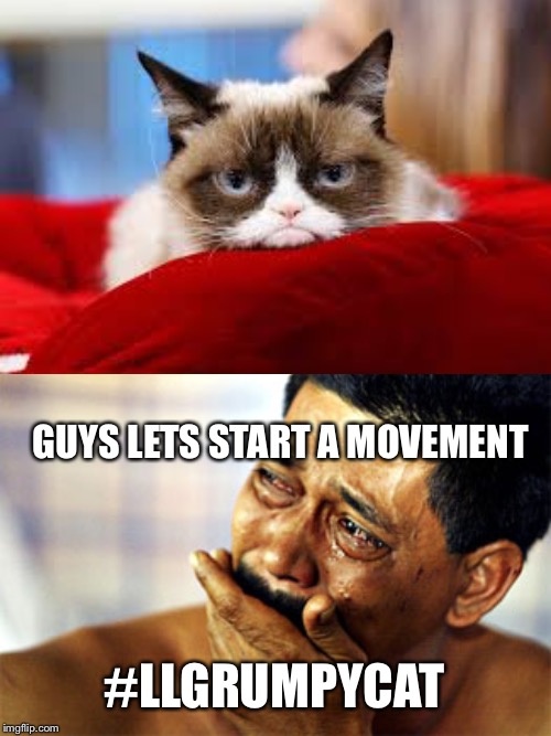 GUYS LETS START A MOVEMENT; #LLGRUMPYCAT | image tagged in crying guy | made w/ Imgflip meme maker
