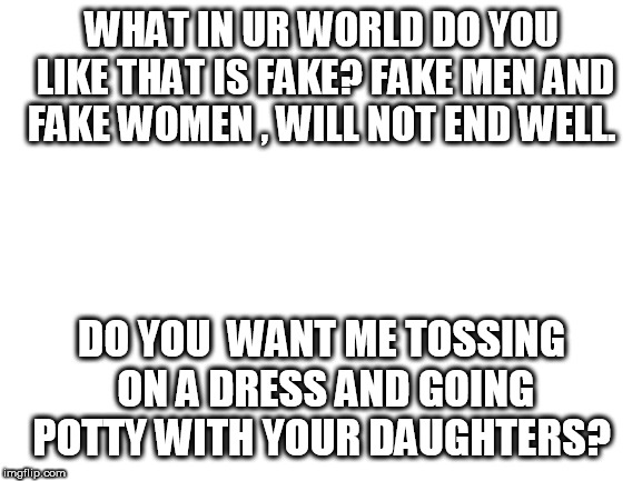 Blank White Template | WHAT IN UR WORLD DO YOU LIKE THAT IS FAKE? FAKE MEN AND FAKE WOMEN , WILL NOT END WELL. DO YOU  WANT ME TOSSING ON A DRESS AND GOING POTTY WITH YOUR DAUGHTERS? | image tagged in blank white template | made w/ Imgflip meme maker