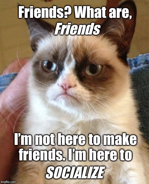 Jk I like ya people || Heard about Tardar Sauce. You were the grumpiest kitty cat of all. :,( | Friends? What are, Friends; I’m not here to make friends. I’m here to; SOCIALIZE | image tagged in memes,grumpy cat,rip | made w/ Imgflip meme maker