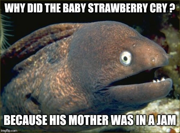 Bad Joke Eel Meme | WHY DID THE BABY STRAWBERRY CRY ? BECAUSE HIS MOTHER WAS IN A JAM | image tagged in memes,bad joke eel | made w/ Imgflip meme maker