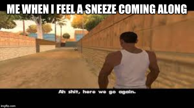 Aw shit, here we go again. | ME WHEN I FEEL A SNEEZE COMING ALONG | image tagged in aw shit here we go again | made w/ Imgflip meme maker