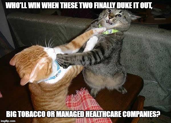Two cats fighting for real | WHO'LL WIN WHEN THESE TWO FINALLY DUKE IT OUT, BIG TOBACCO OR MANAGED HEALTHCARE COMPANIES? | image tagged in two cats fighting for real | made w/ Imgflip meme maker