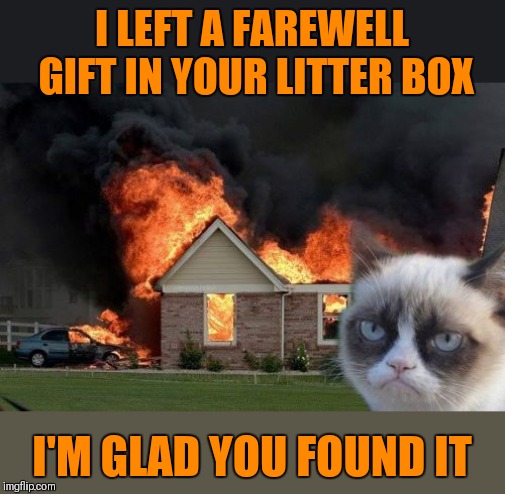 Burn Kitty Meme | I LEFT A FAREWELL GIFT IN YOUR LITTER BOX I'M GLAD YOU FOUND IT | image tagged in memes,burn kitty,grumpy cat | made w/ Imgflip meme maker