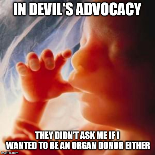 Fetus | IN DEVIL'S ADVOCACY THEY DIDN'T ASK ME IF I WANTED TO BE AN ORGAN DONOR EITHER | image tagged in fetus | made w/ Imgflip meme maker