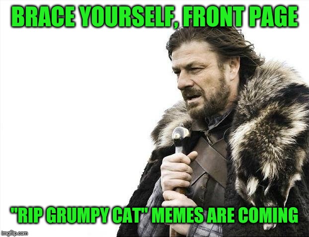 Brace Yourselves X is Coming | BRACE YOURSELF, FRONT PAGE; "RIP GRUMPY CAT" MEMES ARE COMING | image tagged in memes,brace yourselves x is coming,grumpy cat | made w/ Imgflip meme maker