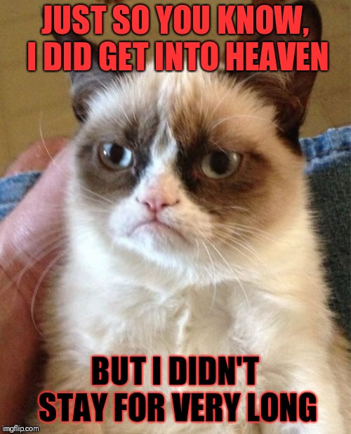 He just walked right back out. R.I.P. Grumpy Cat, you shall be missed! | JUST SO YOU KNOW, I DID GET INTO HEAVEN; BUT I DIDN'T STAY FOR VERY LONG | image tagged in memes,grumpy cat | made w/ Imgflip meme maker