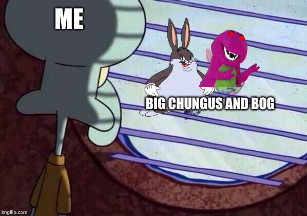 Squidward window | ME; BIG CHUNGUS AND BOG | image tagged in squidward window | made w/ Imgflip meme maker