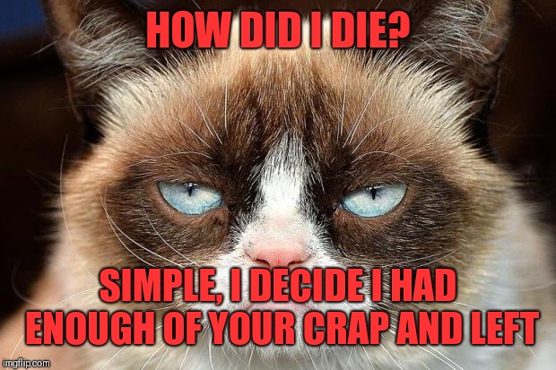 He's too old for your sh#t! R.I.P. Grumpy Cat, forever in our memes! | HOW DID I DIE? SIMPLE, I DECIDE I HAD ENOUGH OF YOUR CRAP AND LEFT | image tagged in memes,grumpy cat not amused,grumpy cat | made w/ Imgflip meme maker