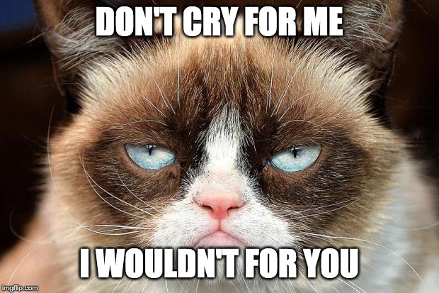 Forever Mean | DON'T CRY FOR ME; I WOULDN'T FOR YOU | image tagged in memes,grumpy cat not amused,grumpy cat | made w/ Imgflip meme maker