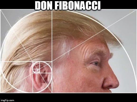 trump | DON FIBONACCI | image tagged in trump | made w/ Imgflip meme maker