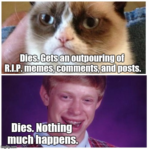 Grumpy Brian | Dies. Gets an outpouring of R.I.P. memes, comments, and posts. Dies. Nothing much happens. | image tagged in grumpy cat,bad luck brian,memes | made w/ Imgflip meme maker
