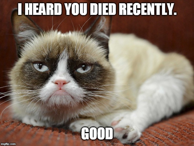 good by grumpy | I HEARD YOU DIED RECENTLY. GOOD | image tagged in grumpy cat | made w/ Imgflip meme maker