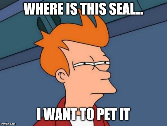 Futurama Fry Meme | WHERE IS THIS SEAL... I WANT TO PET IT | image tagged in memes,futurama fry | made w/ Imgflip meme maker