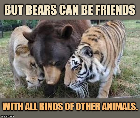 BUT BEARS CAN BE FRIENDS WITH ALL KINDS OF OTHER ANIMALS. | made w/ Imgflip meme maker
