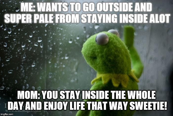 kermit window | ME: WANTS TO GO OUTSIDE AND SUPER PALE FROM STAYING INSIDE ALOT MOM: YOU STAY INSIDE THE WHOLE DAY AND ENJOY LIFE THAT WAY SWEETIE! | image tagged in kermit window | made w/ Imgflip meme maker