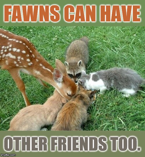 FAWNS CAN HAVE OTHER FRIENDS TOO. | made w/ Imgflip meme maker