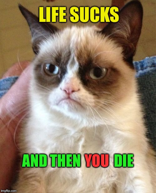 Grumpy Cat Meme | LIFE SUCKS AND THEN            DIE YOU | image tagged in memes,grumpy cat | made w/ Imgflip meme maker