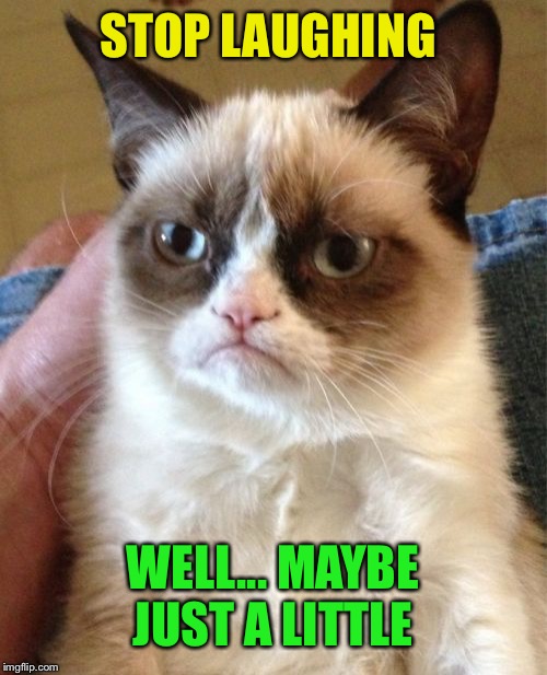 Grumpy Cat Meme | STOP LAUGHING WELL... MAYBE JUST A LITTLE | image tagged in memes,grumpy cat | made w/ Imgflip meme maker