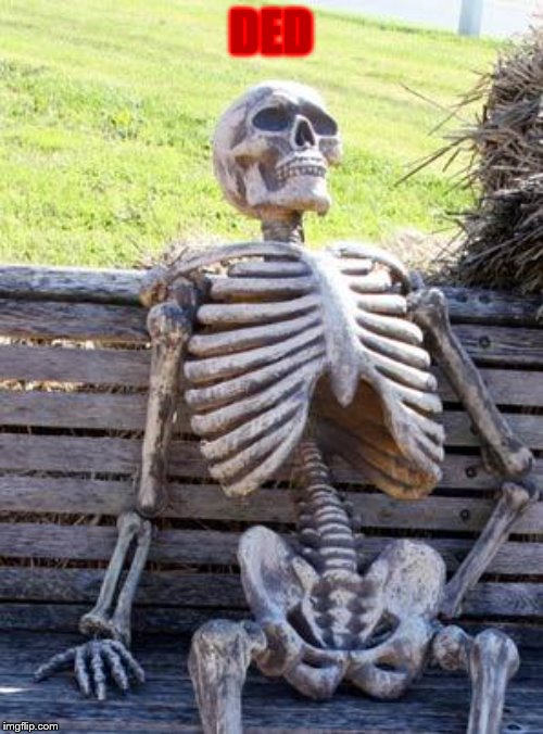 Waiting Skeleton Meme | DED | image tagged in memes,waiting skeleton | made w/ Imgflip meme maker
