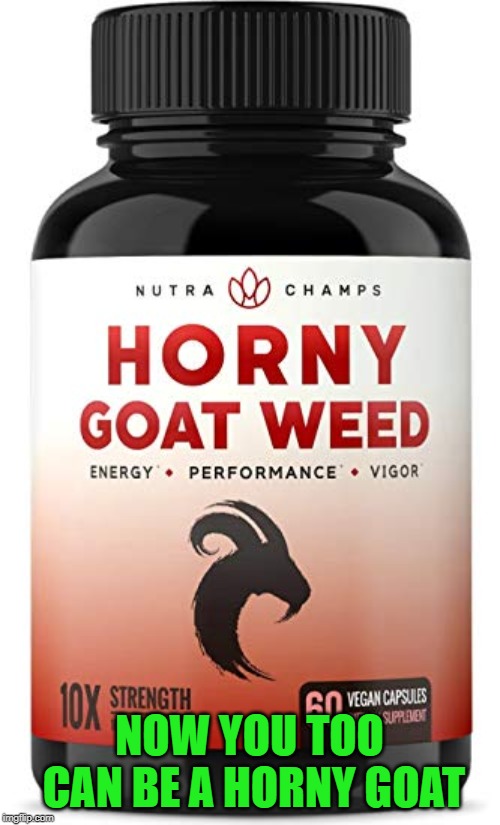 NOW YOU TOO CAN BE A HORNY GOAT | made w/ Imgflip meme maker