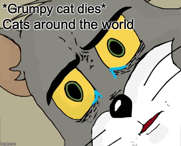 Unsettled Tom Meme | *Grumpy cat dies*; Cats around the world | image tagged in memes,unsettled tom | made w/ Imgflip meme maker
