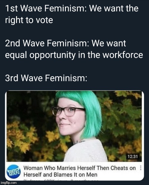 image tagged in triggered feminist,feminism,political meme,pathetic,cringe worthy,snowflakes | made w/ Imgflip meme maker