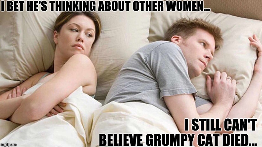 Totally me right now. :'( | I BET HE'S THINKING ABOUT OTHER WOMEN... I STILL CAN'T BELIEVE GRUMPY CAT DIED... | image tagged in i bet he's thinking about other women,grumpy cat,sad,silly,2019,aww | made w/ Imgflip meme maker