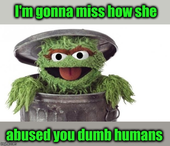 Oscar trashcan Sesame street | I'm gonna miss how she abused you dumb humans | image tagged in oscar trashcan sesame street | made w/ Imgflip meme maker