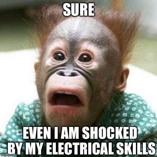 Shocked Monkey | SURE EVEN I AM SHOCKED BY MY ELECTRICAL SKILLS | image tagged in shocked monkey | made w/ Imgflip meme maker