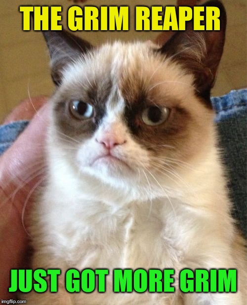 Grumpy Cat Meme | THE GRIM REAPER JUST GOT MORE GRIM | image tagged in memes,grumpy cat | made w/ Imgflip meme maker