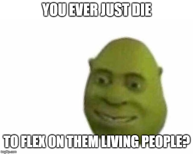 You ever just | YOU EVER JUST DIE; TO FLEX ON THEM LIVING PEOPLE? | image tagged in you ever just | made w/ Imgflip meme maker