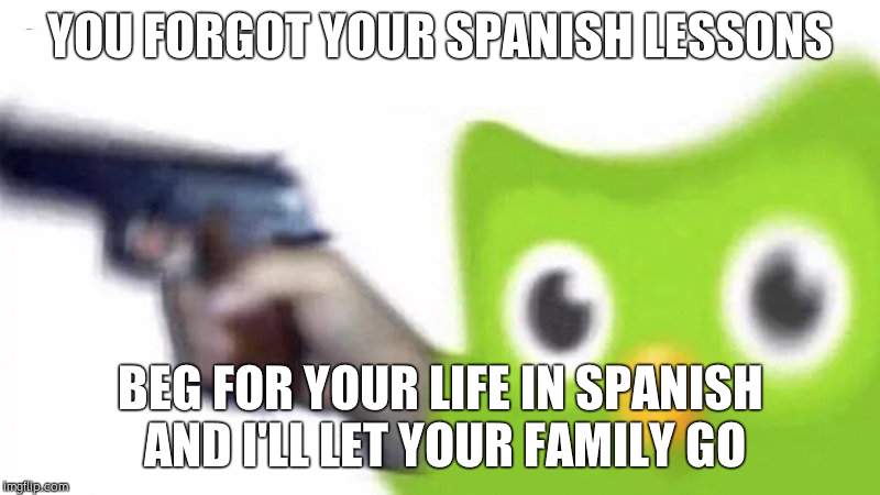 duolingo gun | YOU FORGOT YOUR SPANISH LESSONS; BEG FOR YOUR LIFE IN SPANISH AND I'LL LET YOUR FAMILY GO | image tagged in duolingo gun | made w/ Imgflip meme maker