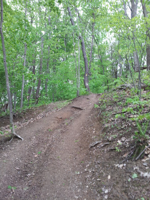 Trail Blank Meme Template