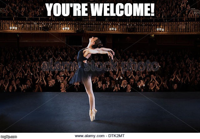 ballerina | YOU'RE WELCOME! | image tagged in ballerina | made w/ Imgflip meme maker