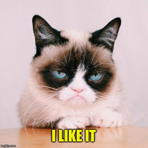 grumpy cat again | I LIKE IT | image tagged in grumpy cat again | made w/ Imgflip meme maker