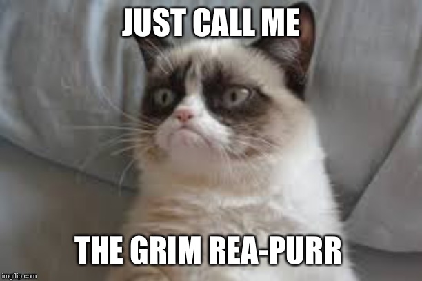 Grumpy cat | JUST CALL ME THE GRIM REA-PURR | image tagged in grumpy cat | made w/ Imgflip meme maker