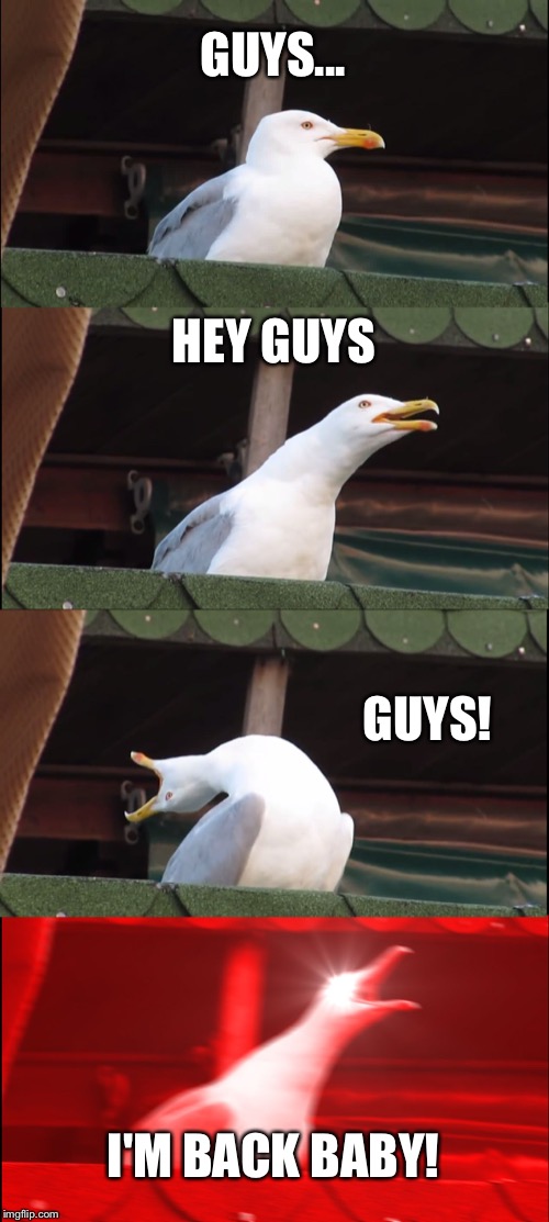 After a long time | GUYS... HEY GUYS; GUYS! I'M BACK BABY! | image tagged in memes,inhaling seagull | made w/ Imgflip meme maker